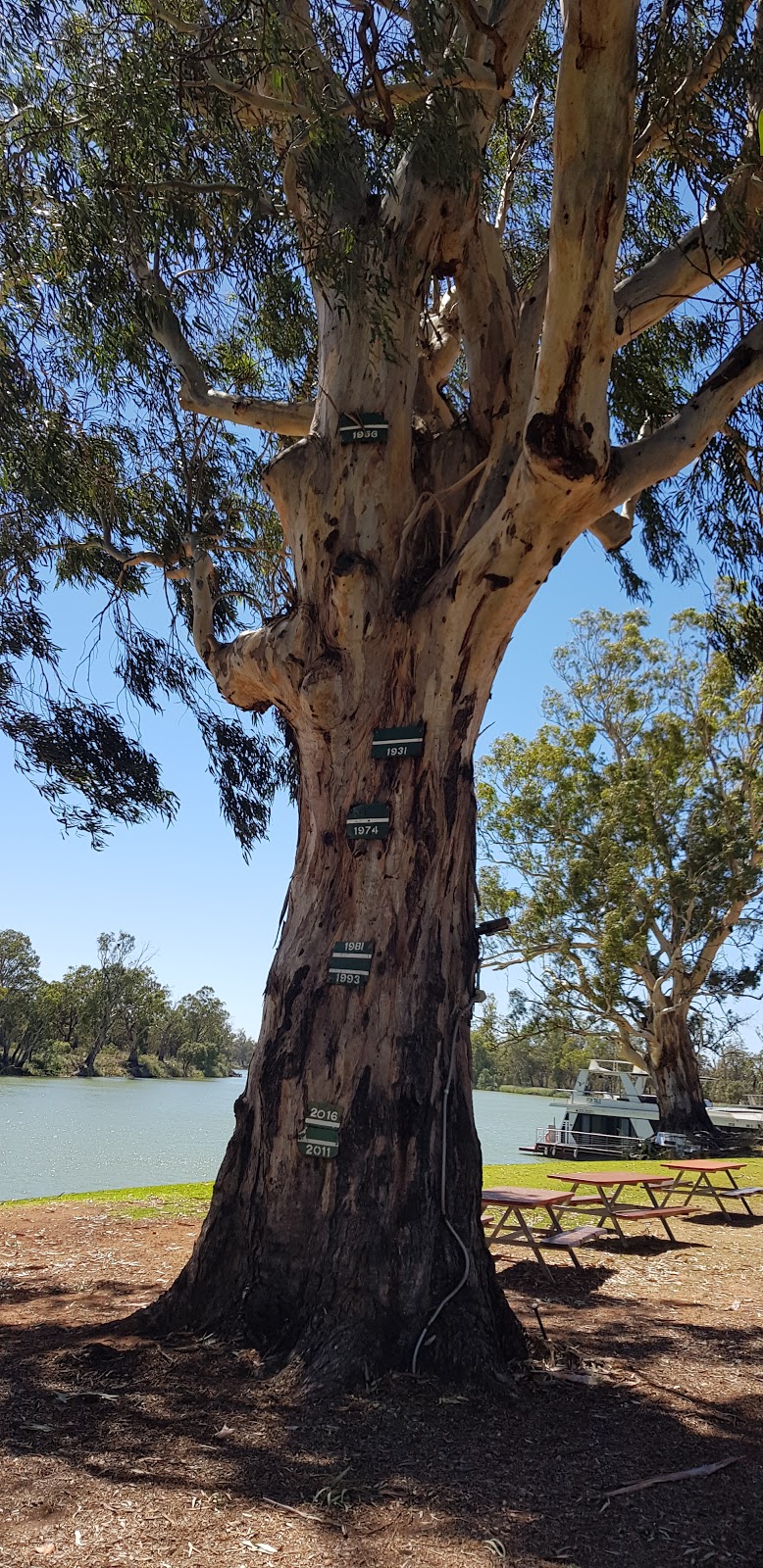 Caudo Vineyard | tourist attraction | Hogwash Bend Conservation Park, Cadell SA 5321, Australia | 0418715661 OR +61 418 715 661