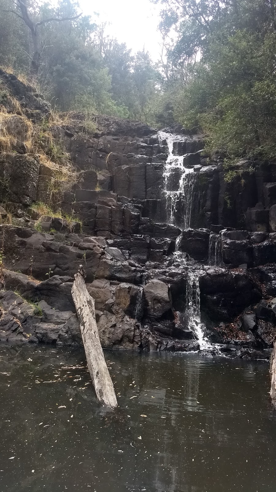 Step Falls | park | Nietta TAS 7315, Australia