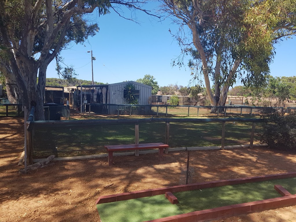 Dongara Activity Park |  | 26 Matsen Rd, Bookara WA 6525, Australia | 0899272864 OR +61 8 9927 2864