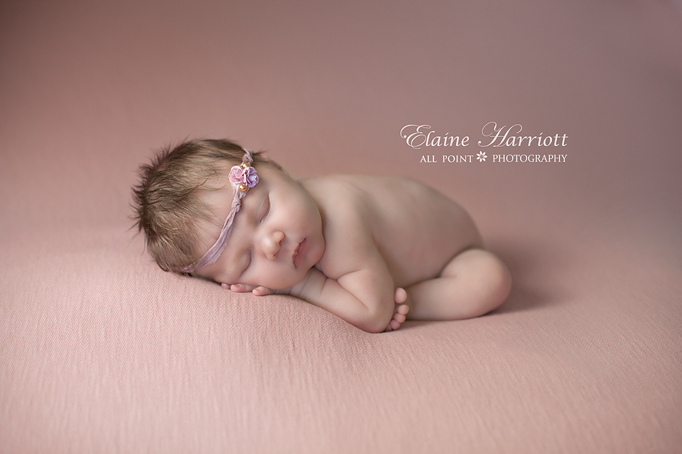 All Point Photography ~ Elaine Harriott |  | 25 Mahers Ln, Terranora NSW 2486, Australia | 0421765998 OR +61 421 765 998