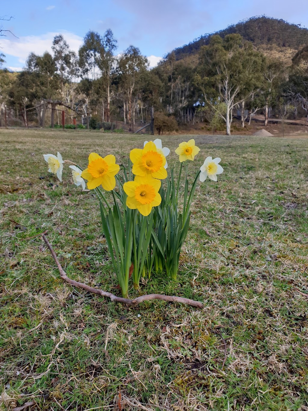 Long Alley Barn - Lawson Park | Lawsons Long Alley, Hartley Vale NSW 2790, Australia | Phone: 0416 132 163