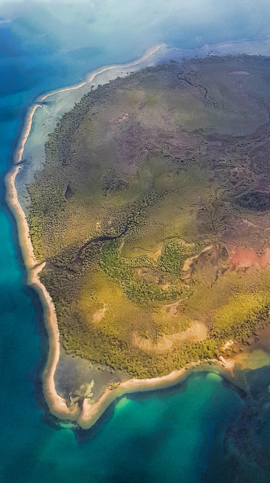 Mud Island Conservation Park | park | Mud Island QLD 4871, Australia