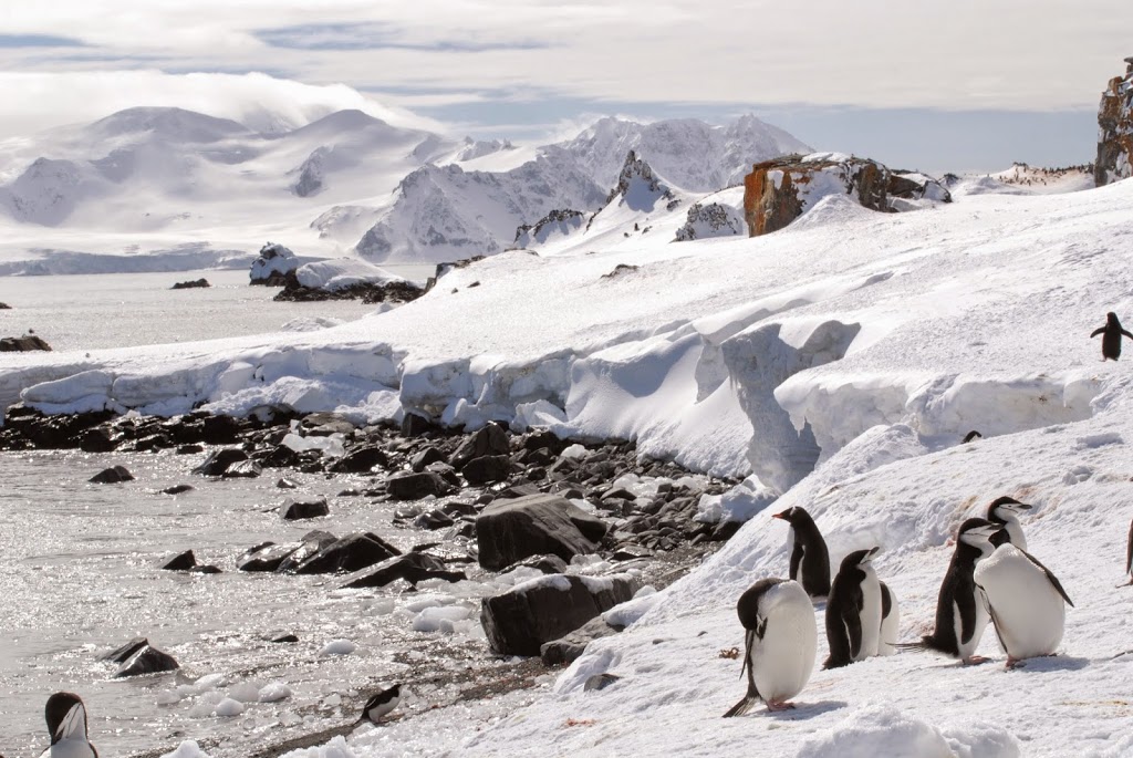 Antarctica Travel Centre | travel agency | Unit 3/165 High St, Berwick VIC 3806, Australia | 1300784794 OR +61 1300 784 794