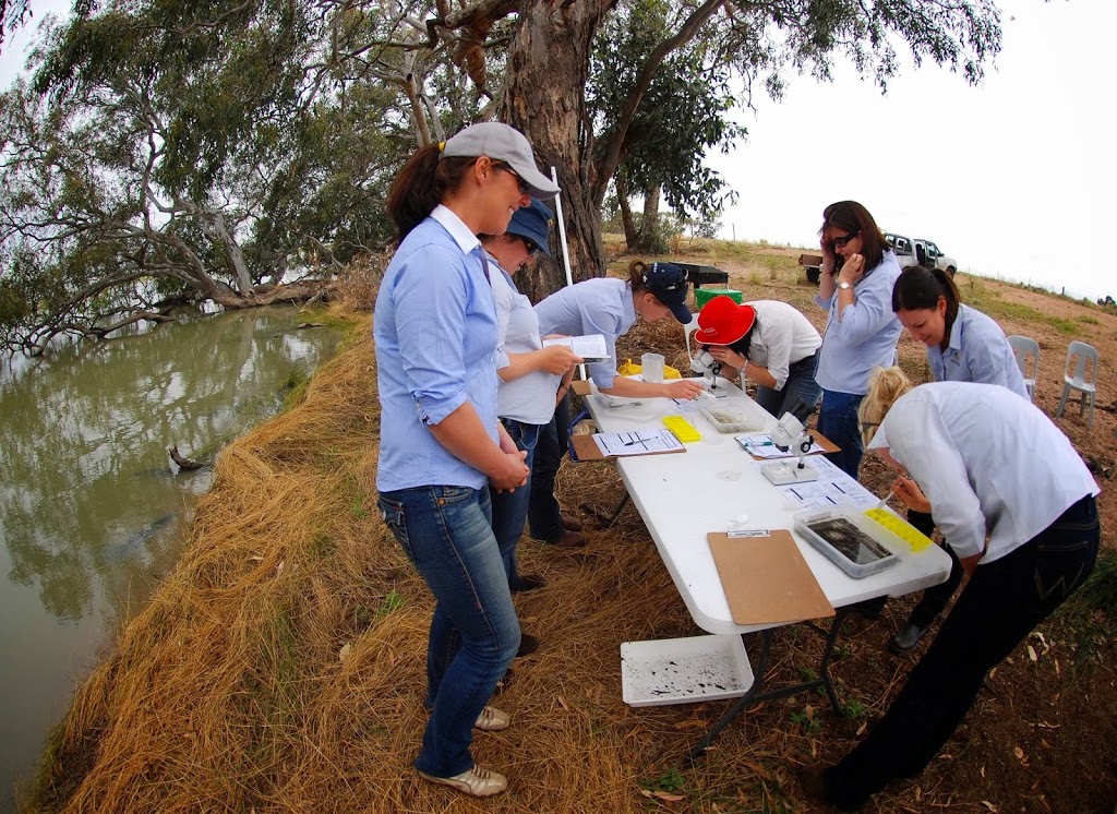 Lake Cowal Conservation Centre | Blow Clear Rd, Lake Cowal NSW 2671, Australia | Phone: 0418 370 927