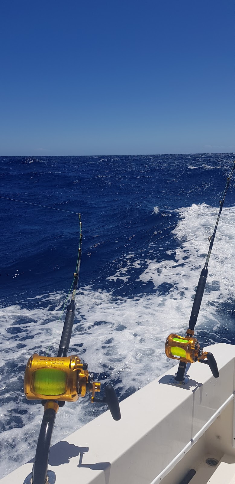 Wildside Sportfishing | New Entrance Rd, South West Rocks NSW 2431, Australia | Phone: 0488 546 273