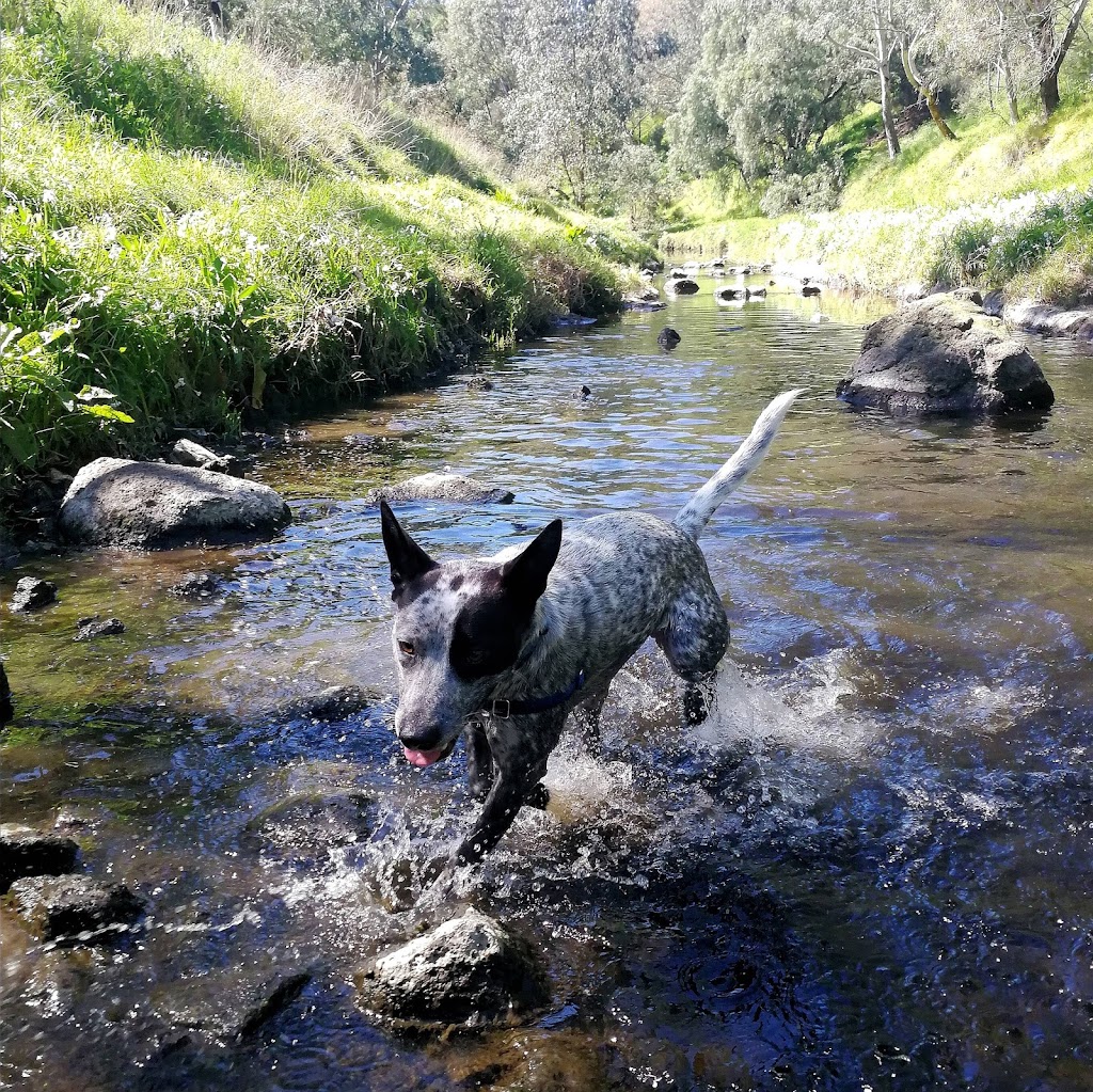 Christopher Walking - Melbourne Dog Walking & Daycare | 23 Hooper Cres, Brunswick West VIC 3055, Australia | Phone: 0476 127 949