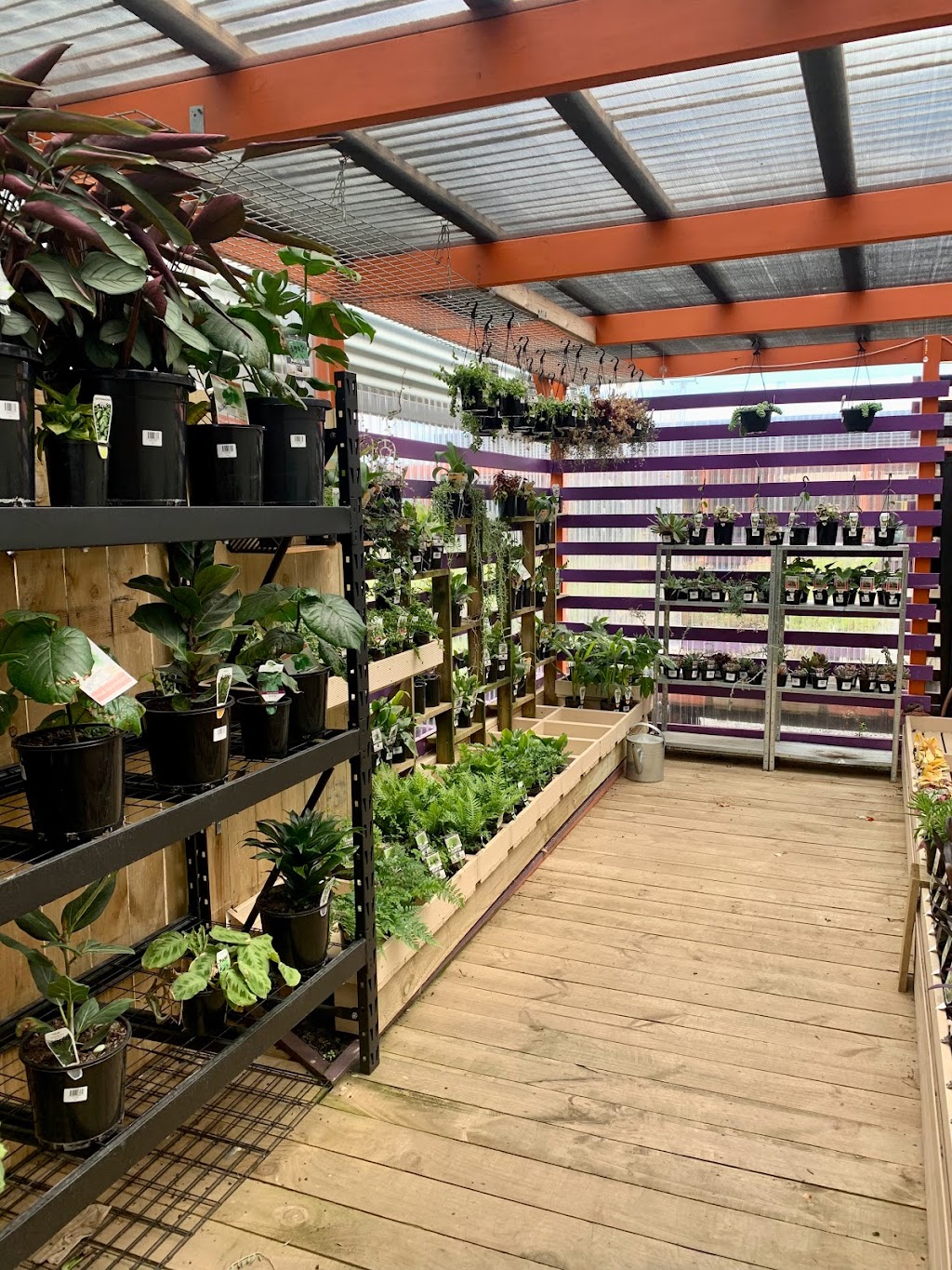 Discount Plants Sorell |  | 5 Giblin Dr, Sorell TAS 7172, Australia | 0362652580 OR +61 3 6265 2580