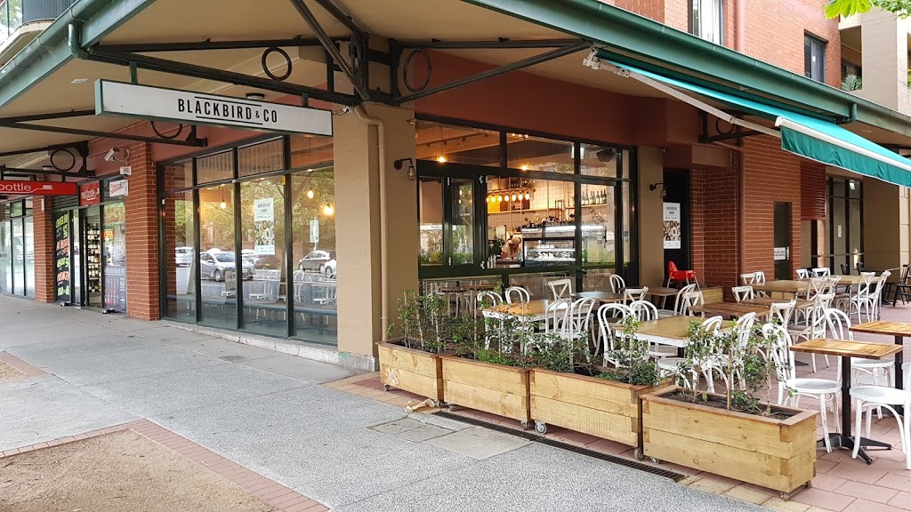 Blackbird & Co Cafe Restaurant & Private Dining Room | 1/177 Mitchell Rd, Erskineville NSW 2043, Australia | Phone: (02) 9516 1961