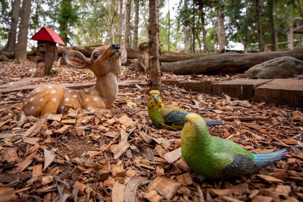 Kumbartcho Sanctuary | park | 15 Bunya Pine Ct, Eatons Hill QLD 4037, Australia | 0732643953 OR +61 7 3264 3953