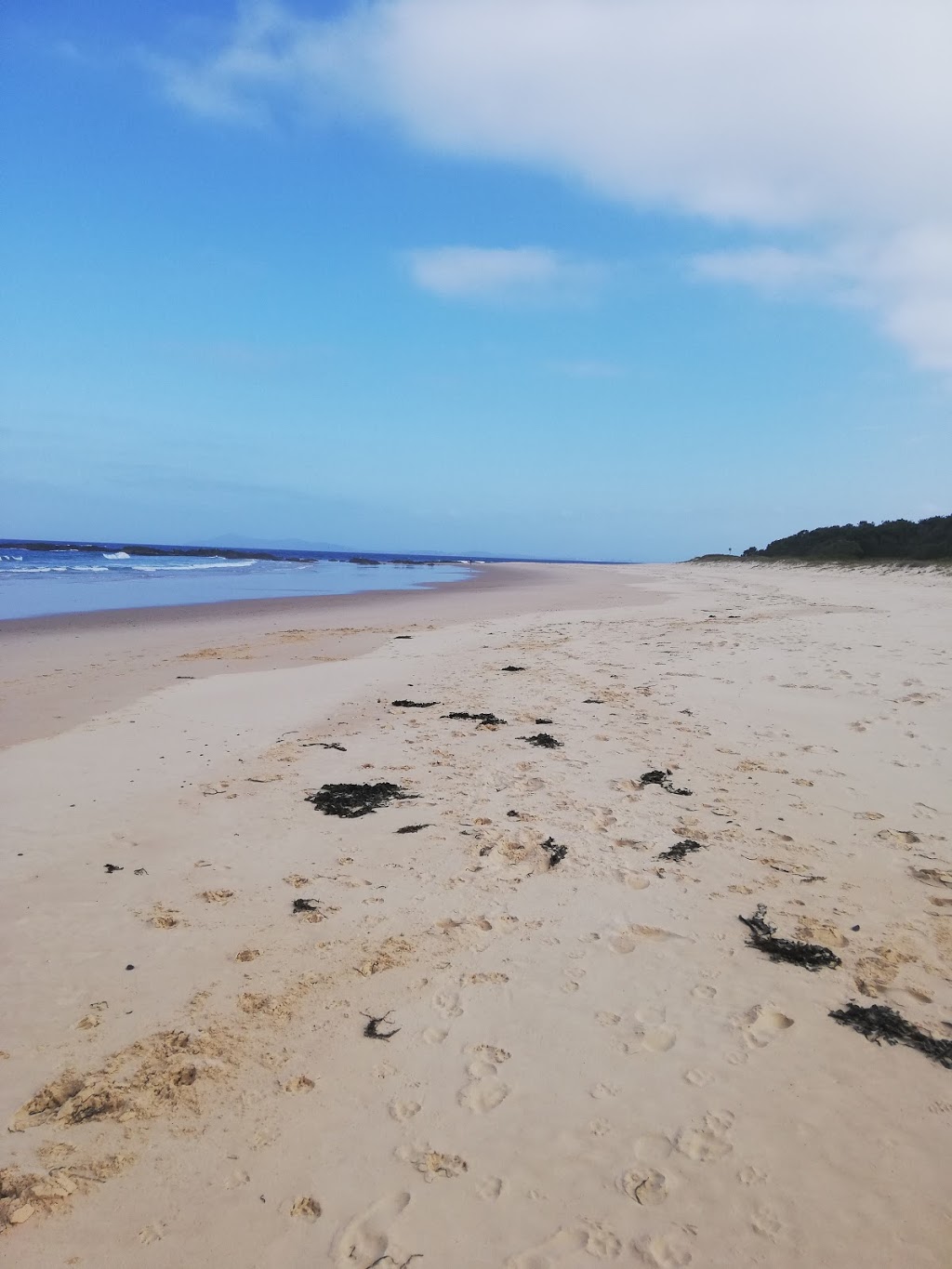 Back Beach | health | N Boundary Trail, Black Head NSW 2430, Australia