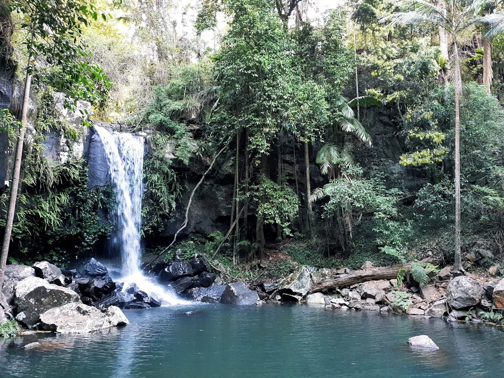 Curtis Falls viewing platform | park | 16 Eagle Heights Rd, Eagle Heights QLD 4271, Australia