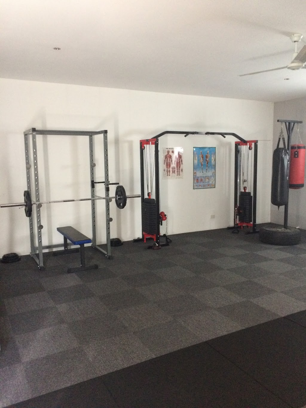 Combat Fitness Strength Coach |  | 13 Belmore Dr, Withcott QLD 4352, Australia | 0421119813 OR +61 421 119 813