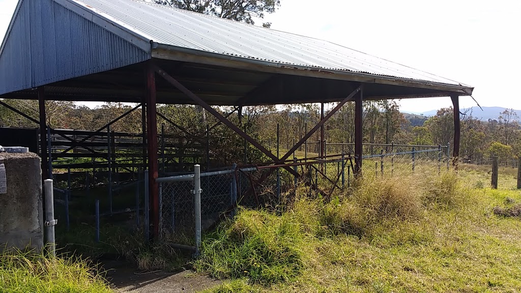 Dungog Saleyards | Short St, Dungog NSW 2420, Australia | Phone: (02) 4992 1704