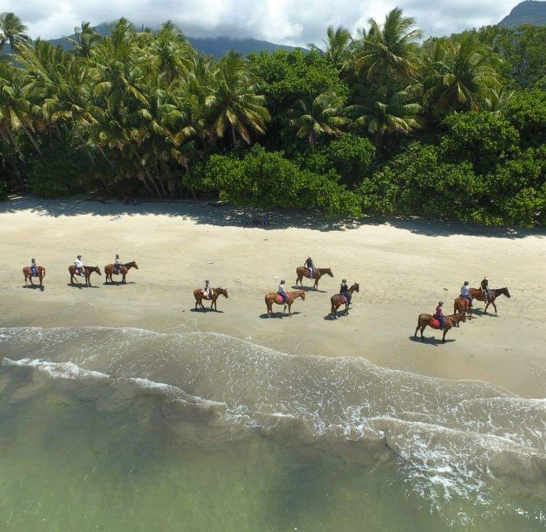 Cape Tribulation Horse Rides | 3831 Cape Tribulation Rd, Cape Tribulation QLD 4873, Australia | Phone: 1800 111 124