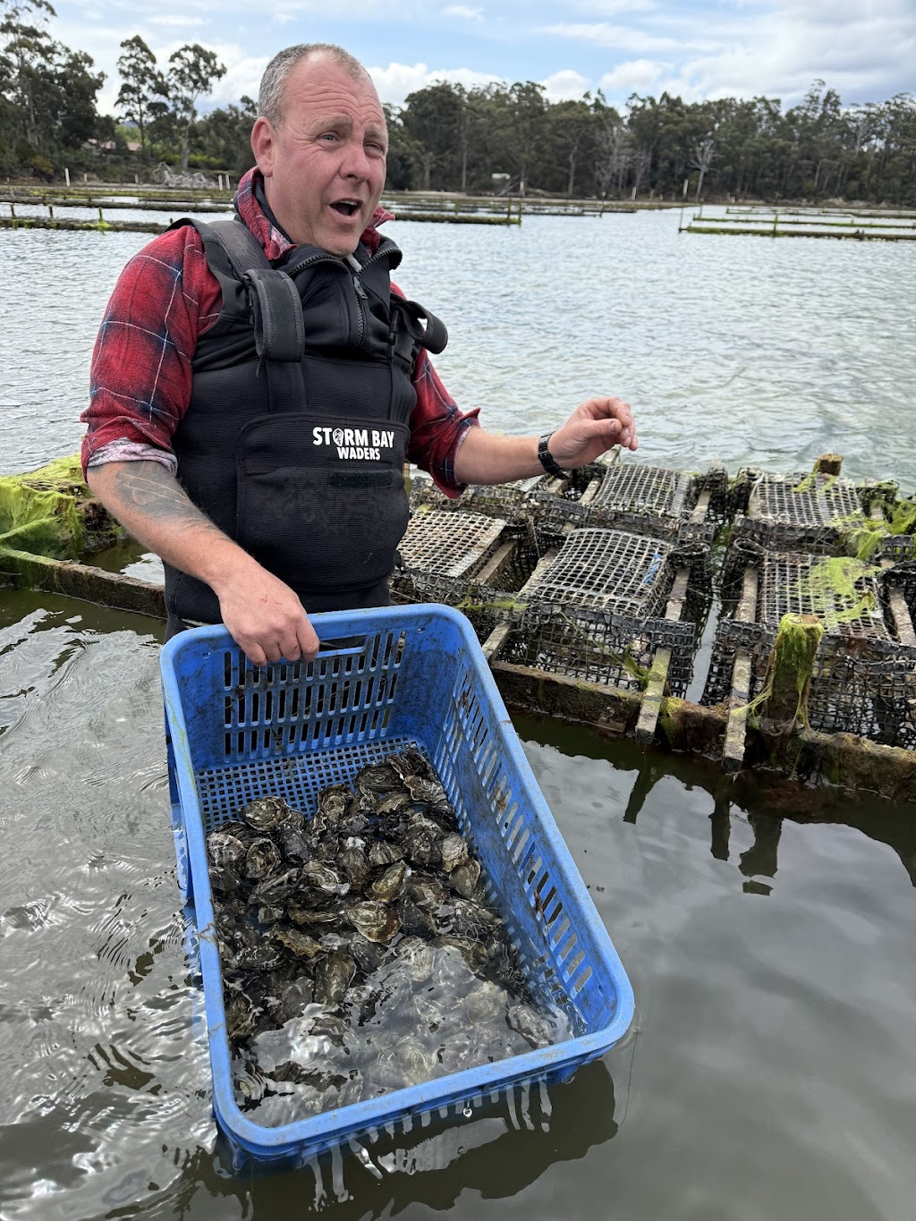 Fleurtys Oyster Farm Tours | 110 Benbows Rd, Oyster Cove TAS 7150, Australia | Phone: 0419 744 975