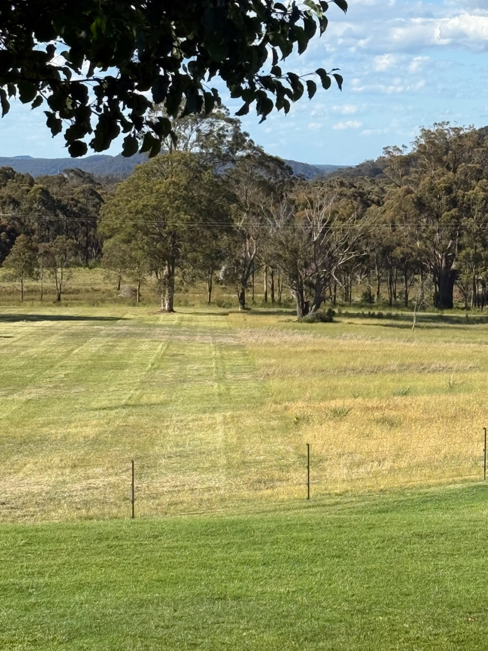 High Acre Agriculture | Wombeyan Caves Rd, High Range NSW 2575, Australia | Phone: 0473 101 757
