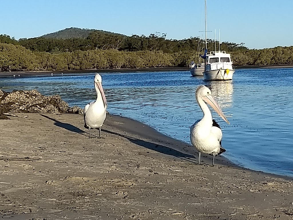 Lioness Park (Pelican Park) | park | Hawks Nest NSW 2324, Australia