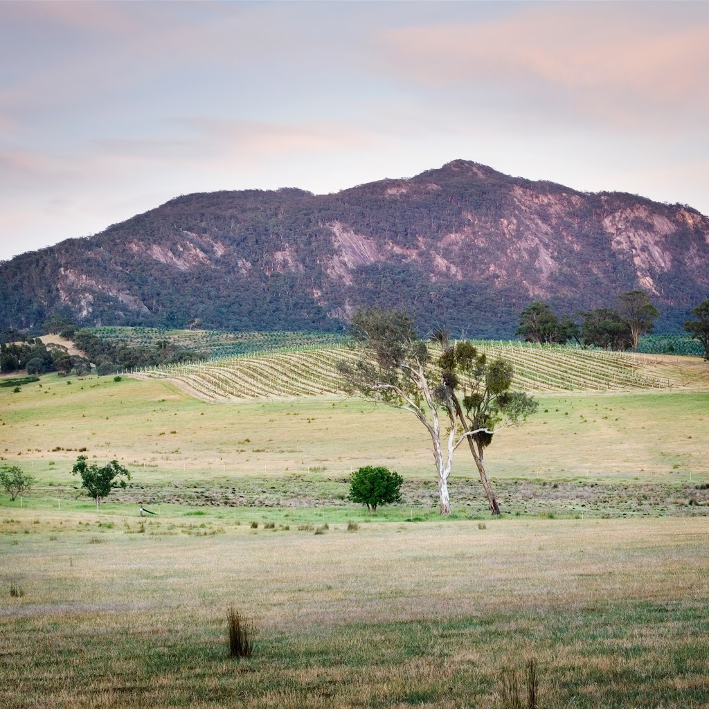 Mount Langi Ghiran Vineyard | 80 Vine Rd, Bayindeen VIC 3375, Australia | Phone: (03) 5354 3207