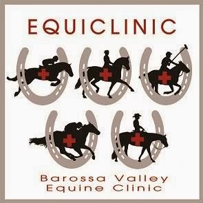 Equine Health Centre | 116 Murray St, Tanunda SA 5352, Australia | Phone: 0457 062 283