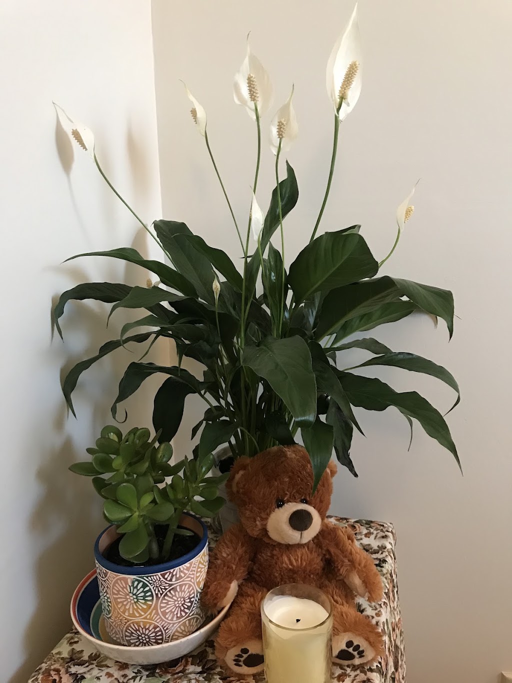 Yun-Li Massage | 237 Wyatt St, Portland VIC 3305, Australia | Phone: 0498 799 322