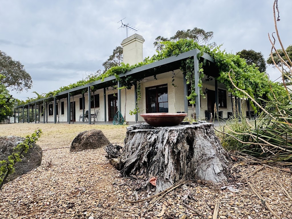 Lance Winery | 2130 Heidelberg-Kinglake Rd, St Andrews VIC 3761, Australia | Phone: 0431 295 413