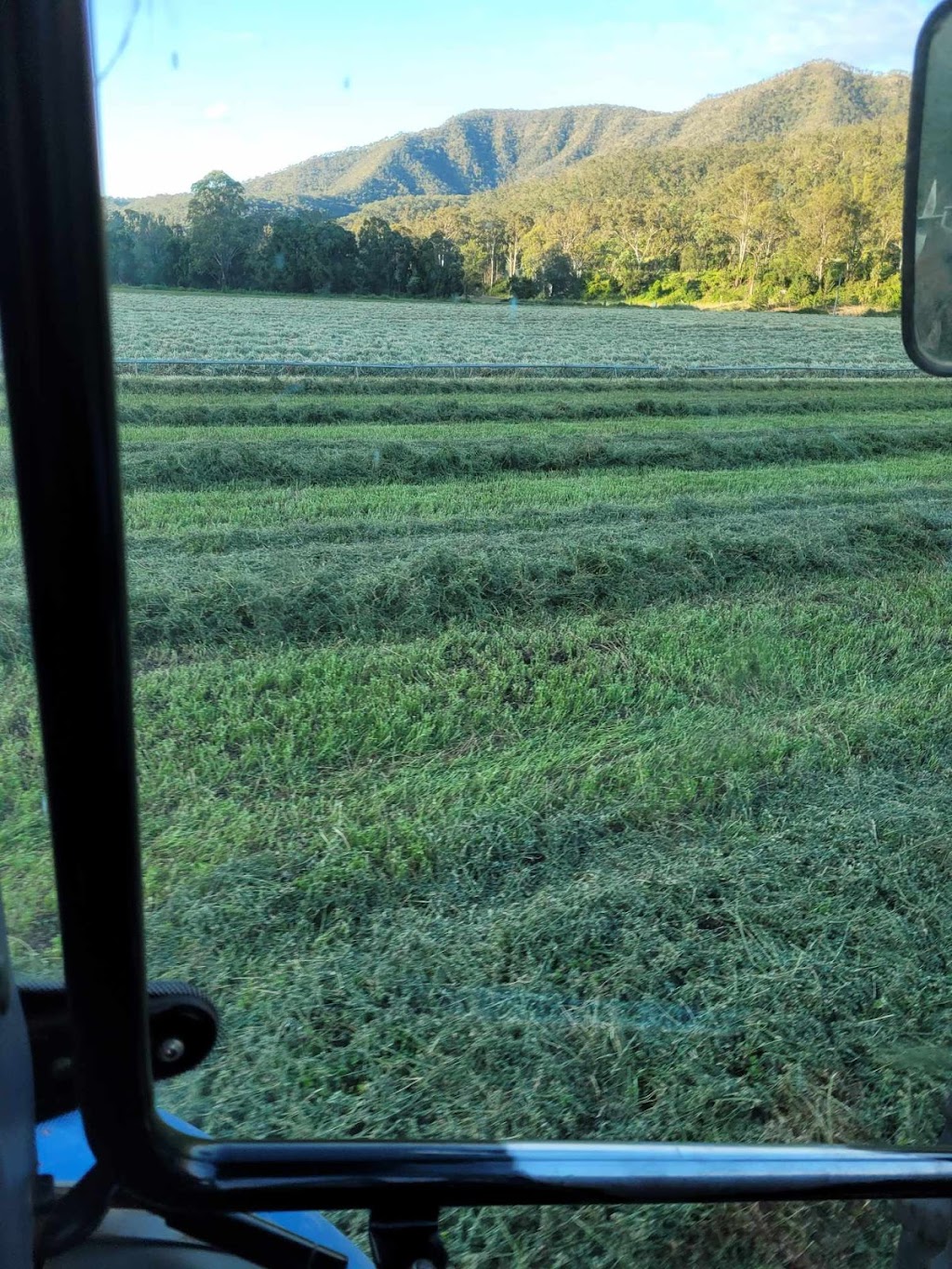 Last Straw Hay Sales | 396 E Haldon Rd, East Haldon QLD 4343, Australia | Phone: 0478 092 561