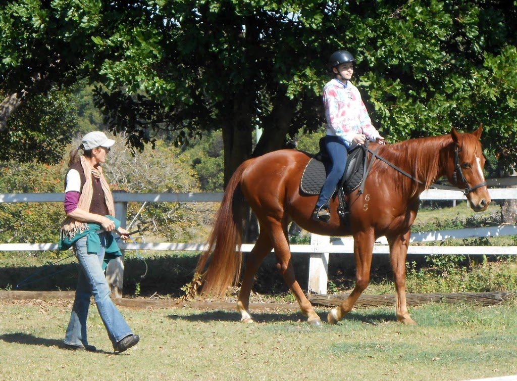 Happy Horses Bitless | 163 Bangalow Rd, Howards Grass NSW 2480, Australia | Phone: 0401 249 263