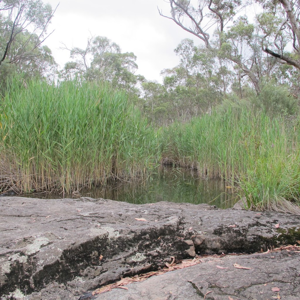 Orroral Campground Circuit | Rendezvous Creek ACT 2620, Australia