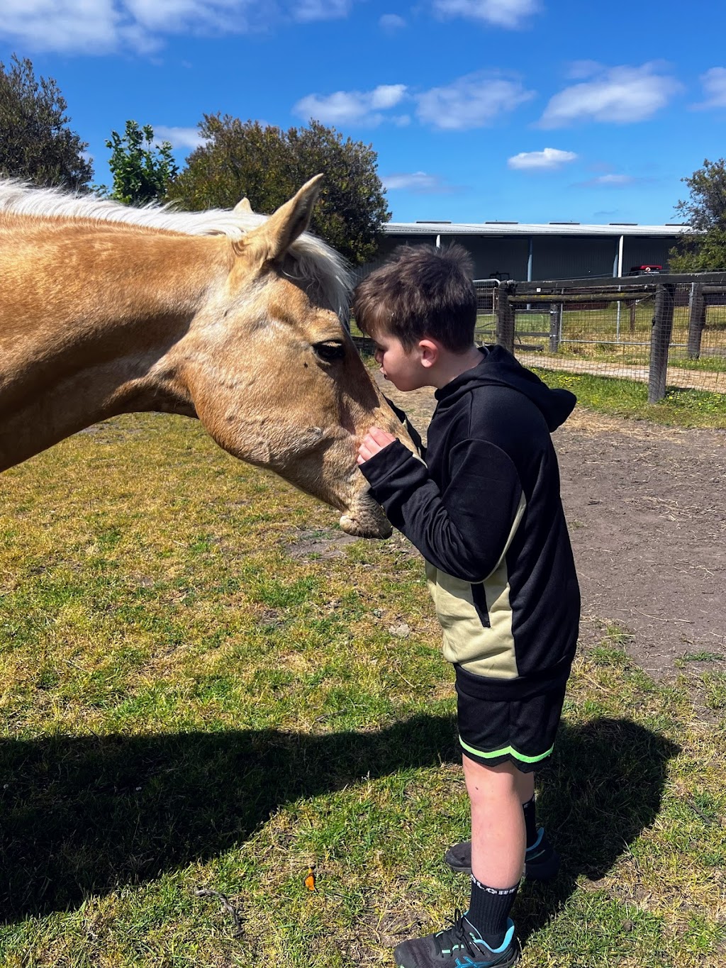 Karinya Farm - Regulate & Connect | 65 Five Mile Rd, Pakenham South VIC 3810, Australia | Phone: 0478 675 943