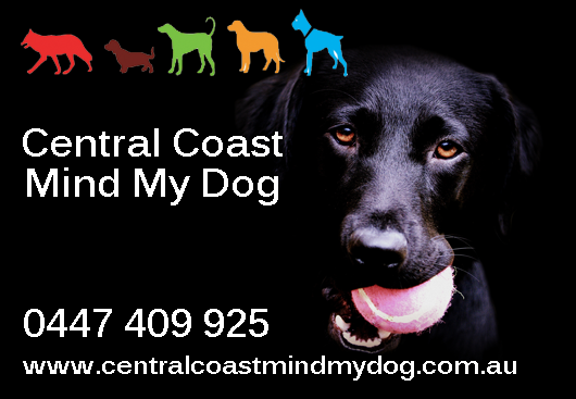 Central Coast Mind My Dog |  | 60 Cams Blvd, Summerland Point NSW 2259, Australia | 0447409925 OR +61 447 409 925