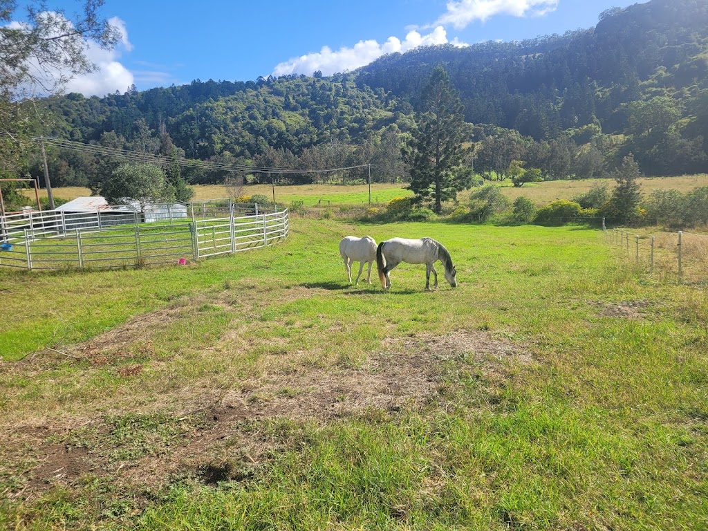 Sabrina Stephens Equine Assisted Therapy | 3434 Kerry Rd, Darlington QLD 4285, Australia | Phone: 0413 760 263