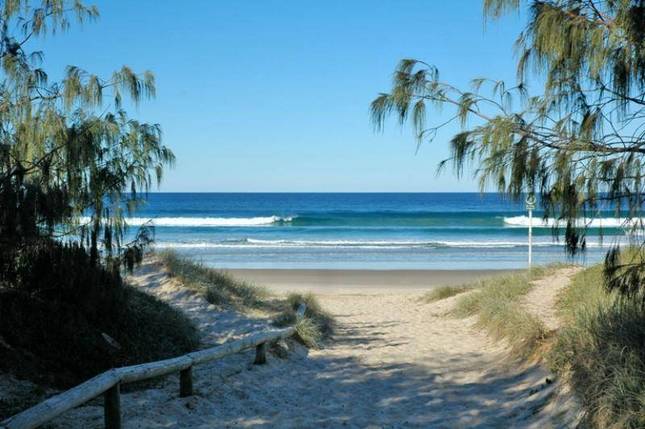 Dog Friendly Holidays - Coolum | real estate agency | 8 Witchwood Cl, Coolum Beach QLD 4573, Australia | 0413059925 OR +61 413 059 925