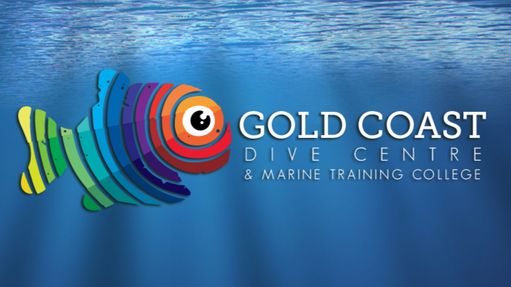 Gold Coast Dive Centre & Marine Training College | school | 2/54-56 Paradise Ave, Miami QLD 4220, Australia | 0755720511 OR +61 7 5572 0511