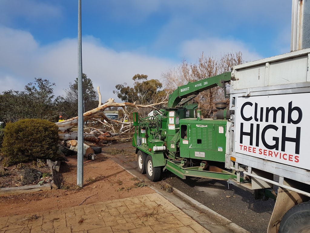 Climb High Tree Services | 880 Federal Hwy, Watson ACT 2602, Australia | Phone: 0402 089 736