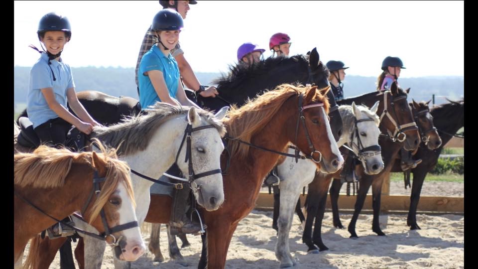 Hills and Hollows Horse Riding School |  | 330 Montpelier Dr, The Oaks NSW 2570, Australia | 0433300095 OR +61 433 300 095