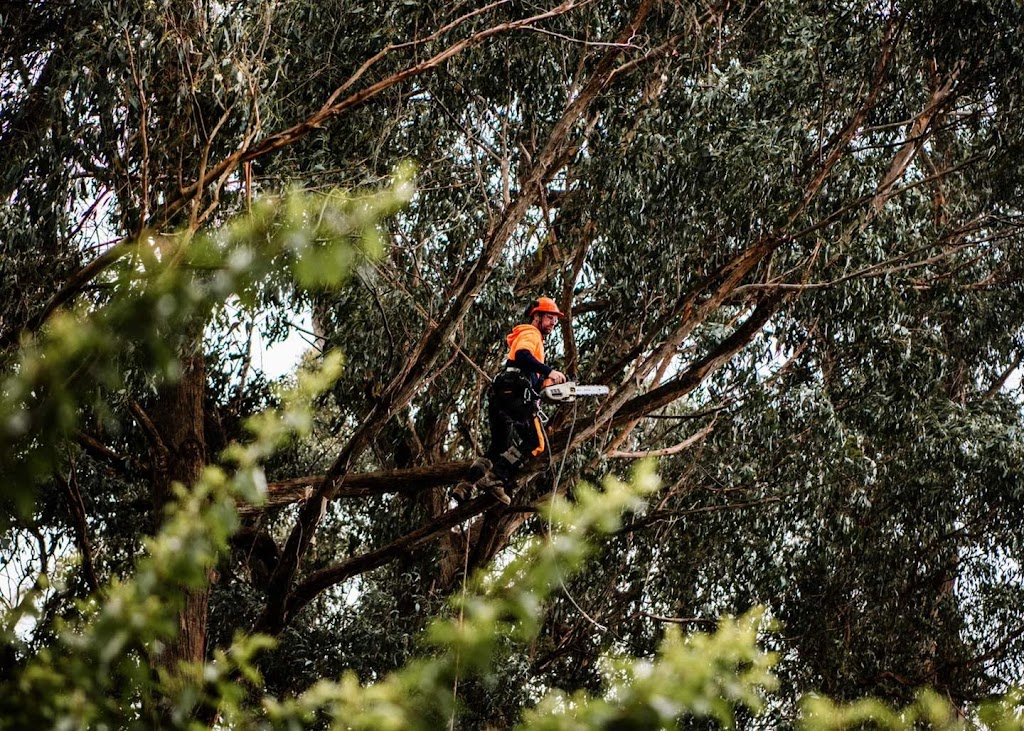 Tricky Tree Works |  | 76 Simons Ln, Leongatha South VIC 3953, Australia | 0407743895 OR +61 407 743 895