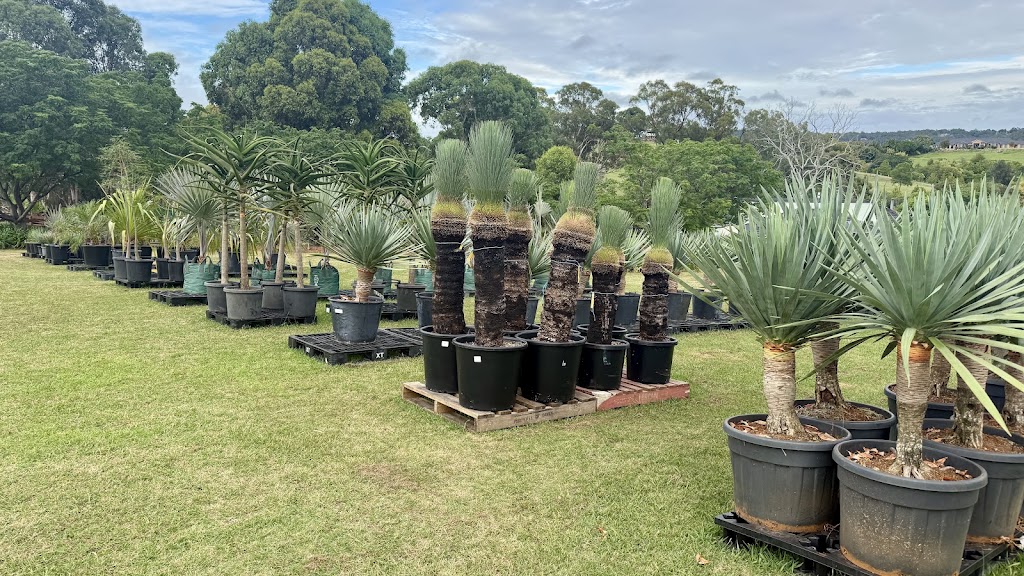 Tropical Living Nursery | 470 Menangle Rd, Menangle NSW 2568, Australia | Phone: 0423 253 500