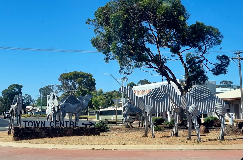 Norseman Free RV Site | Richardson St &, Mildura St, Norseman WA 6443, Australia | Phone: (08) 9039 1205