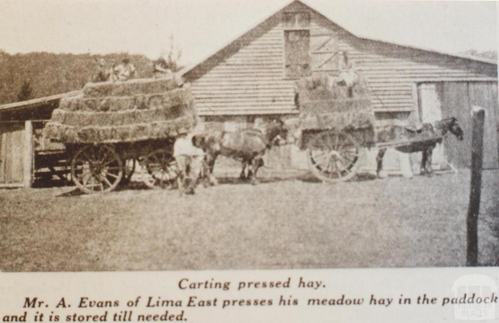Lima Railway Station (Former) | Swanpool VIC 3673, Australia | Phone: (03) 5760 2600