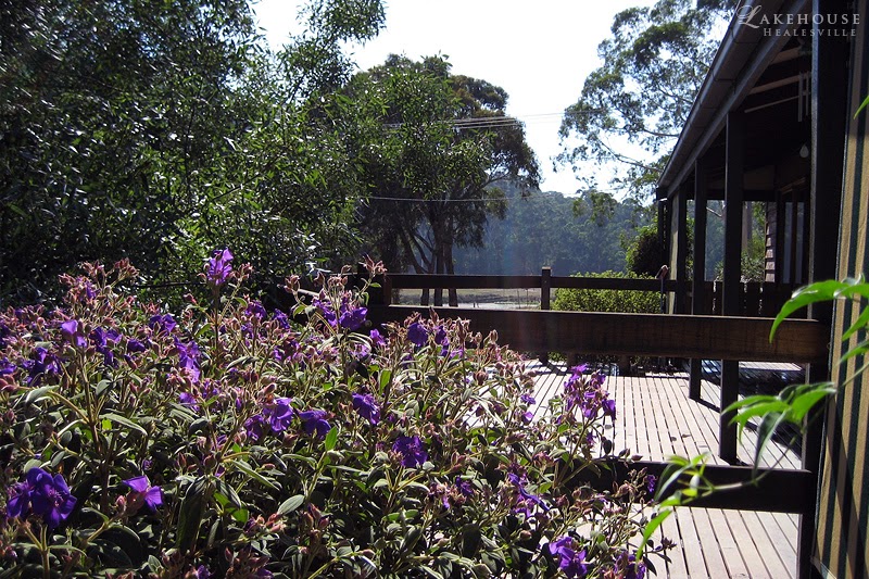 Lake House Healesville | lodging | 13 Maroondah Parade, Healesville VIC 3777, Australia | 0427960738 OR +61 427 960 738