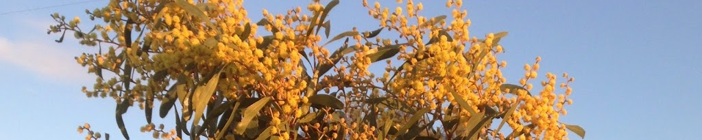 Golden Wattle Visas |  | 67 Kernan St, Strathmore VIC 3041, Australia | 0457200590 OR +61 457 200 590