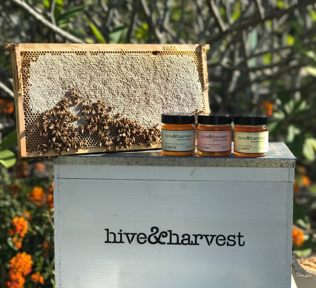 Hive & Harvest |  | 269 Hovard Rd, Bald Knob QLD 4552, Australia | 0412561508 OR +61 412 561 508