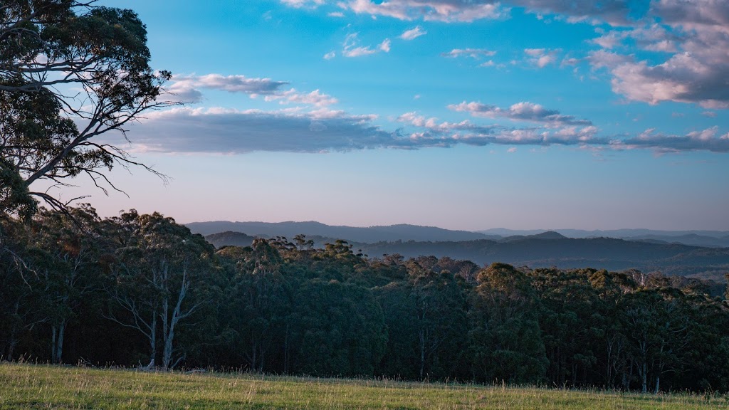 ROCALA WAGYU, MULLABROOK | Mullabrook, Niangala NSW 2354, Australia | Phone: (02) 6769 2395