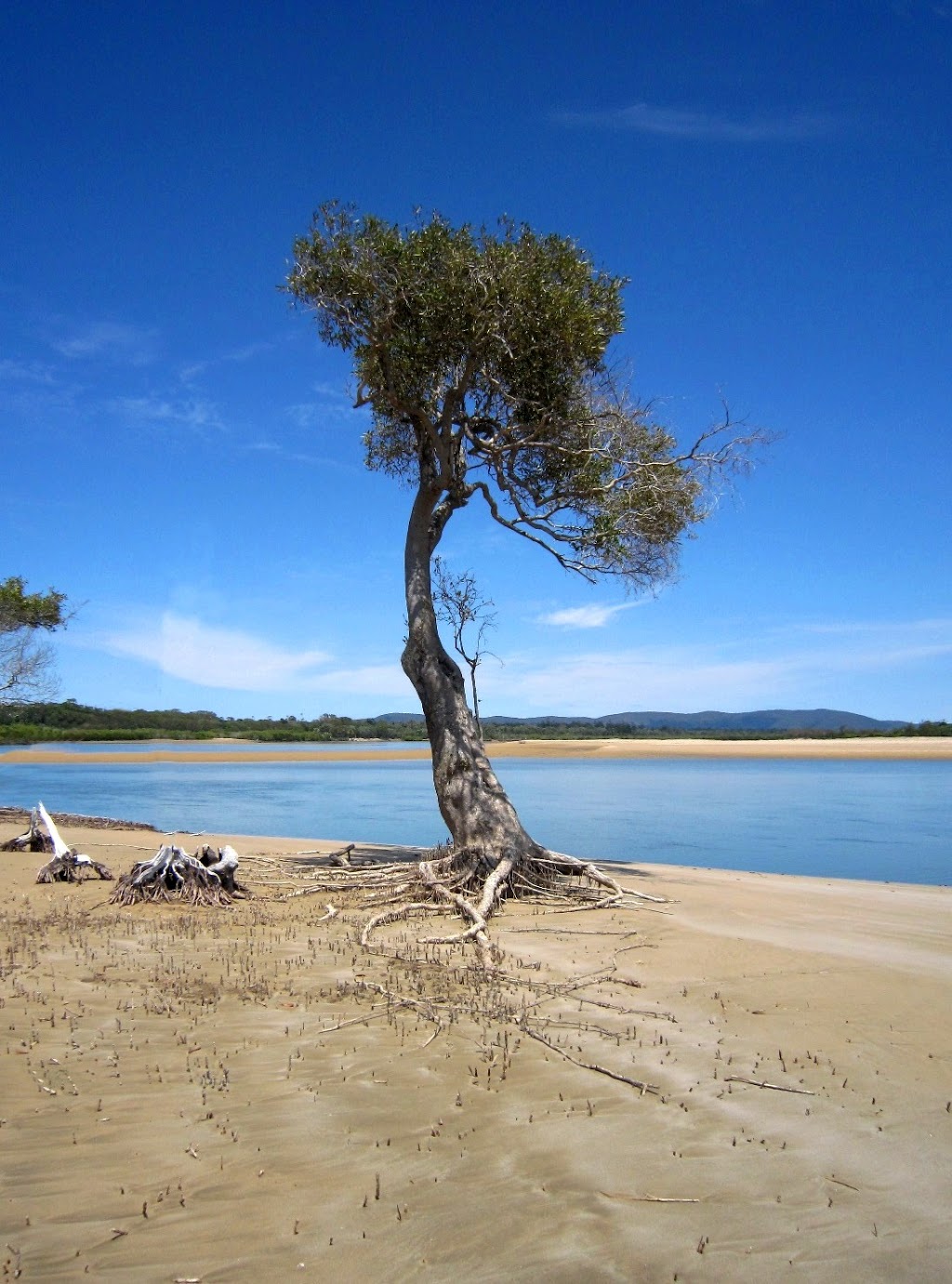 Bustard Head Conservation Park | park | 2098 Turkey Beach Rd, Eurimbula QLD 4677, Australia
