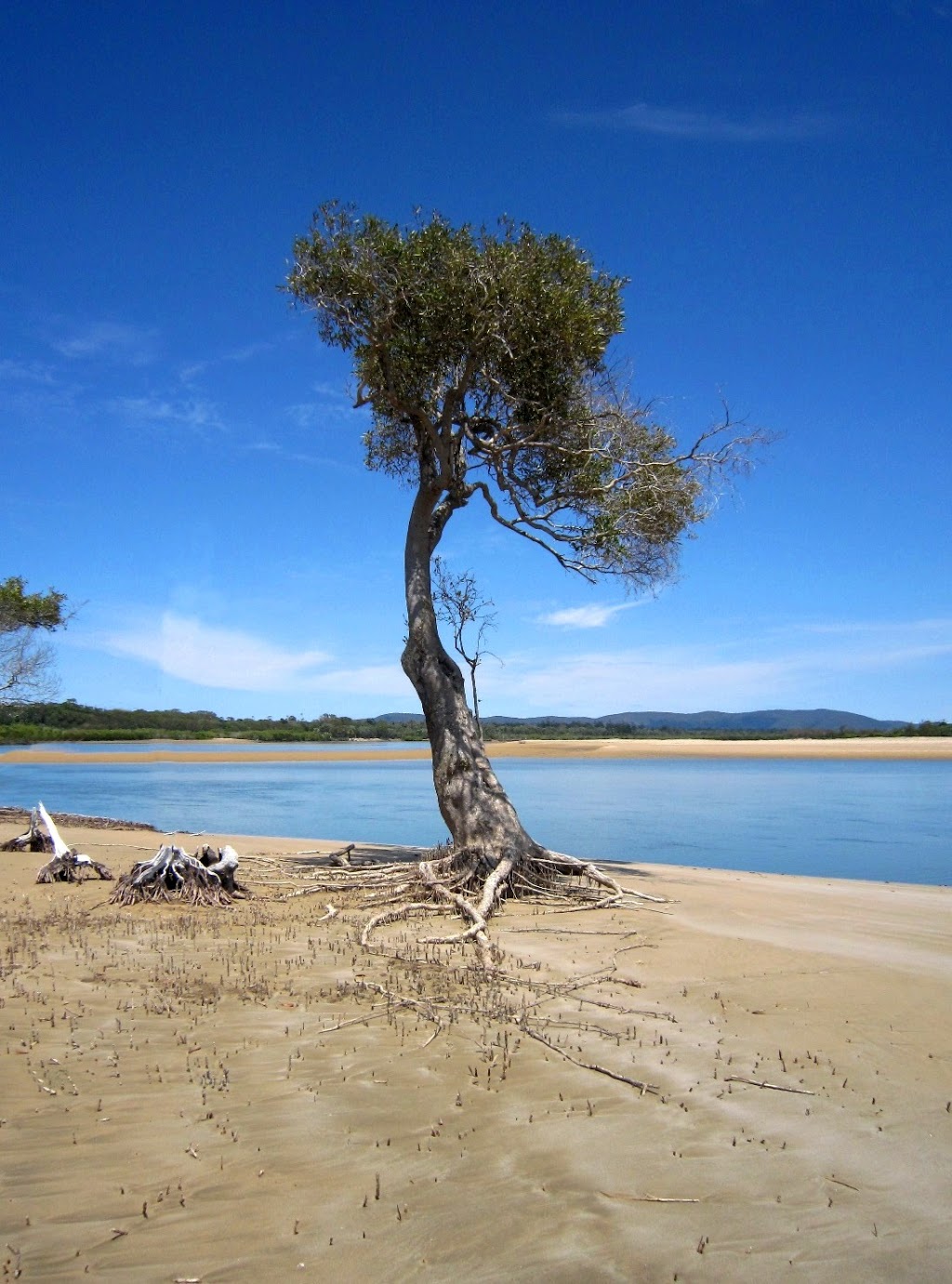 Bustard Head Conservation Park | 2098 Turkey Beach Rd, Eurimbula QLD 4677, Australia