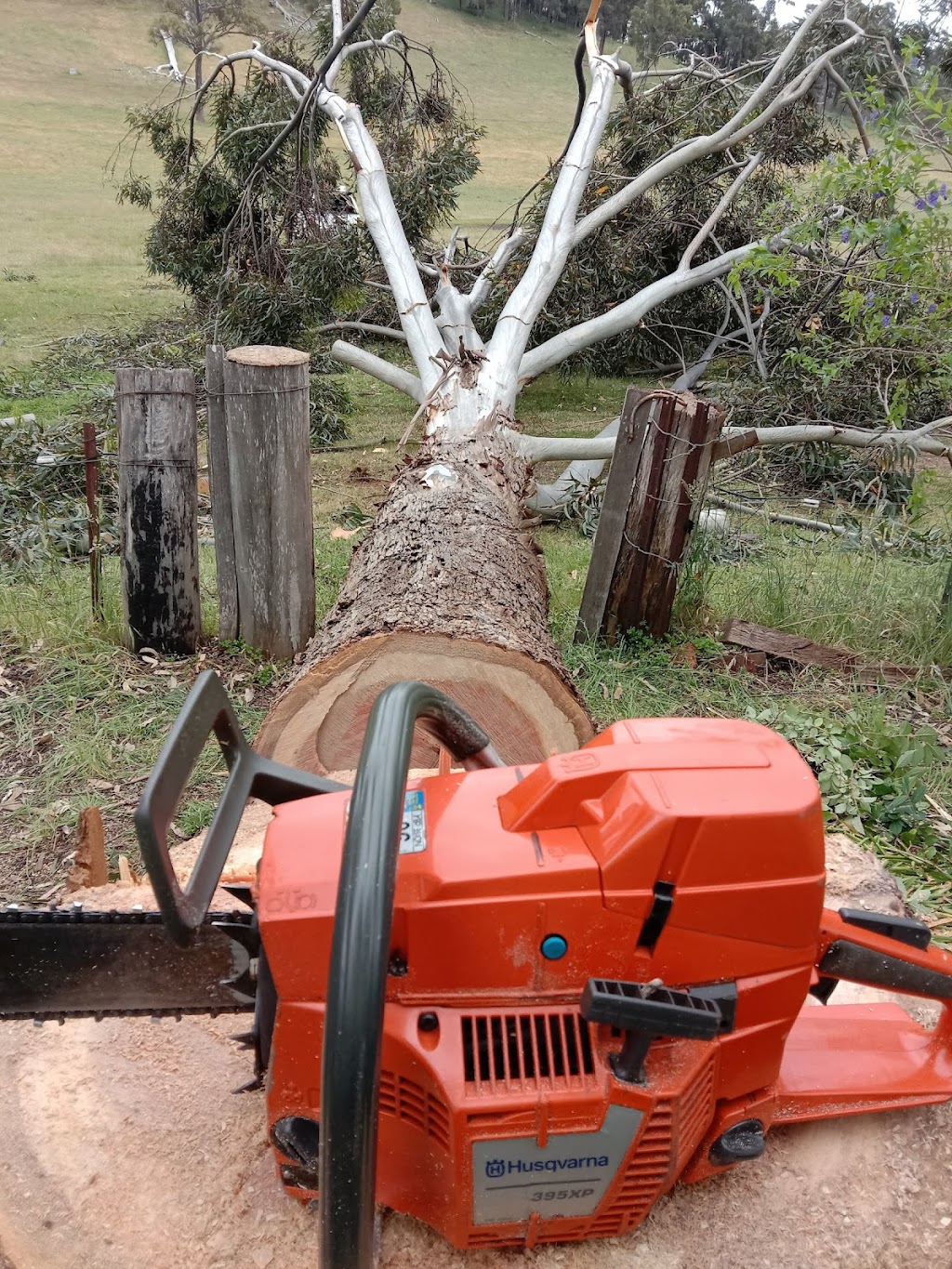 Parks Chainsaw and Tree Services | 32 Forrest St, Bridgetown WA 6255, Australia | Phone: 0459 689 518