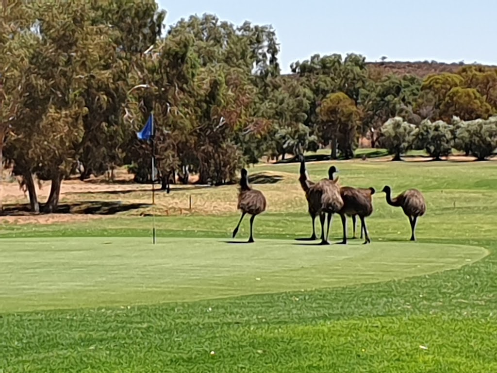 Broken Hill Golf & Country Club | 1 Racecourse Rd, Broken Hill NSW 2880, Australia | Phone: (08) 8087 9099