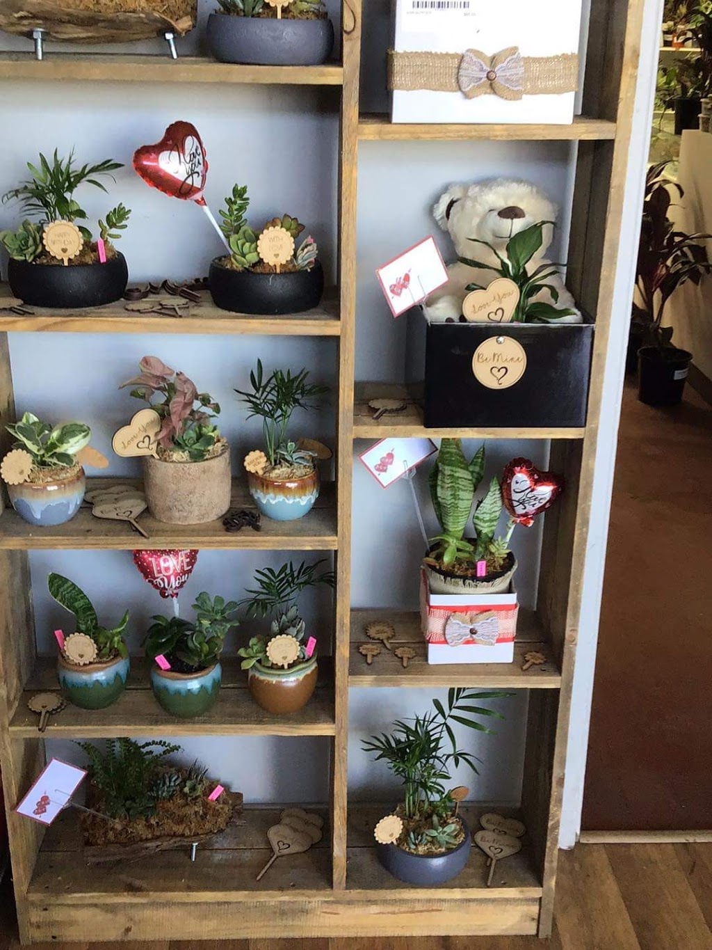 Plants n Logs | 2 Alyxia Drive, Drive, Glen Iris WA 6230, Australia | Phone: 0415 187 699