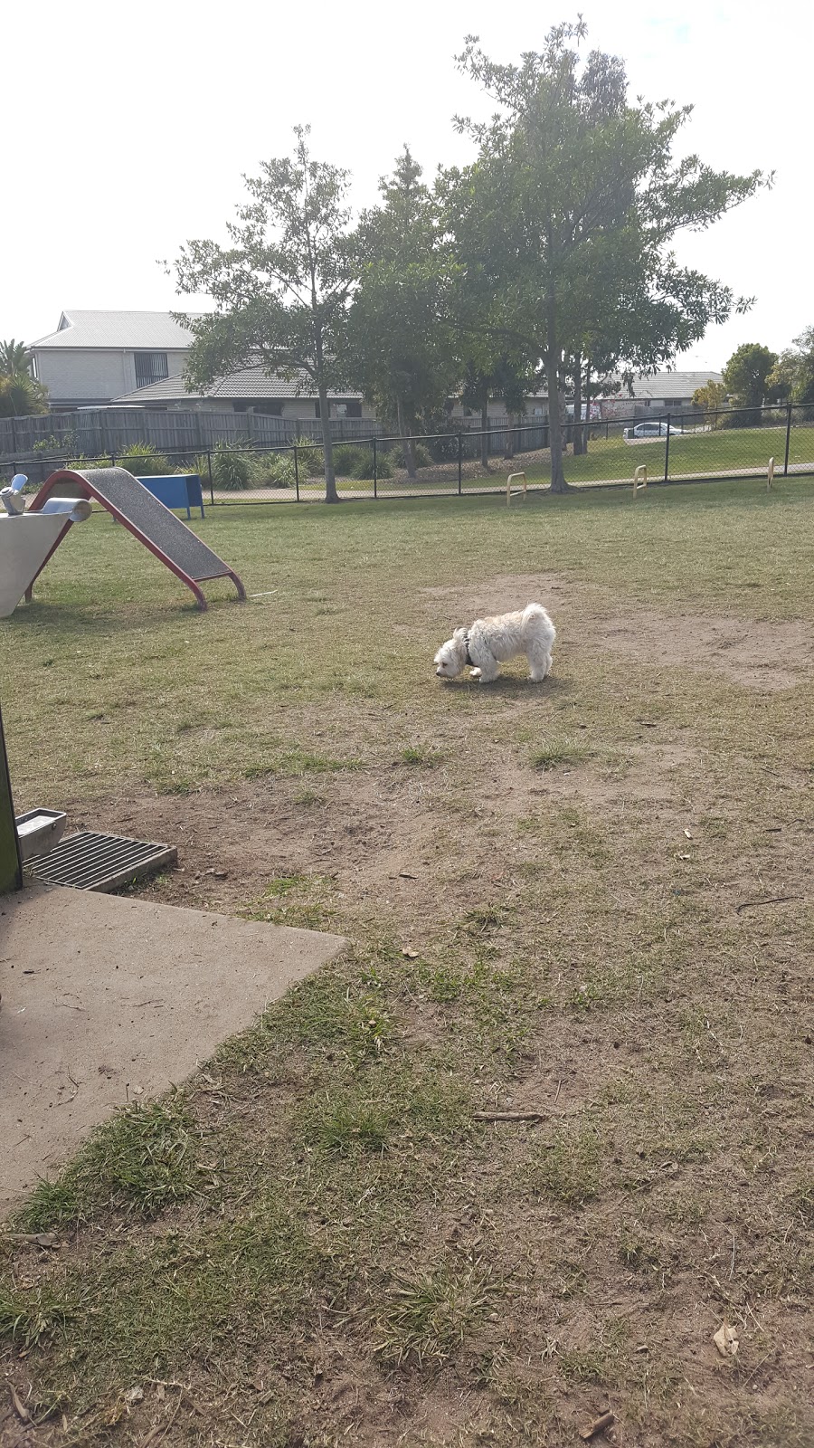 Sunstone Circuit Dog Park | 27-37 Bonnet Parade, Mango Hill QLD 4509, Australia