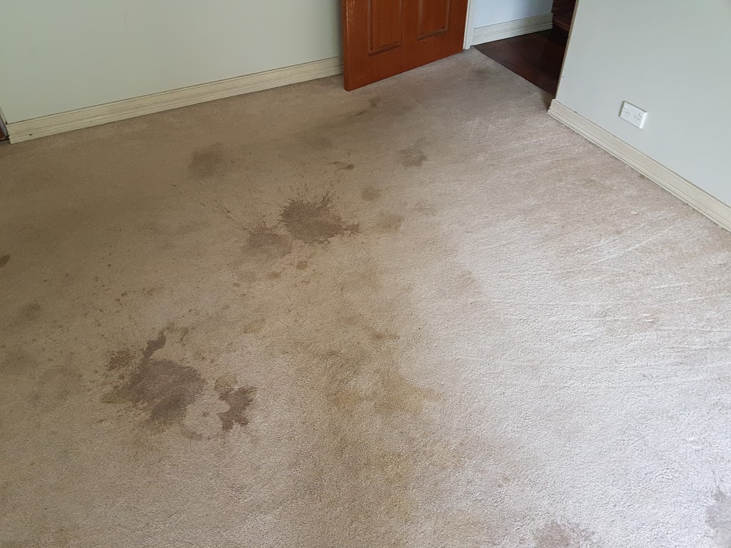 Gregs Carpet Cleaning | laundry | 1 Browns Plains Rd, Browns Plains QLD 4118, Australia | 0403548727 OR +61 403 548 727